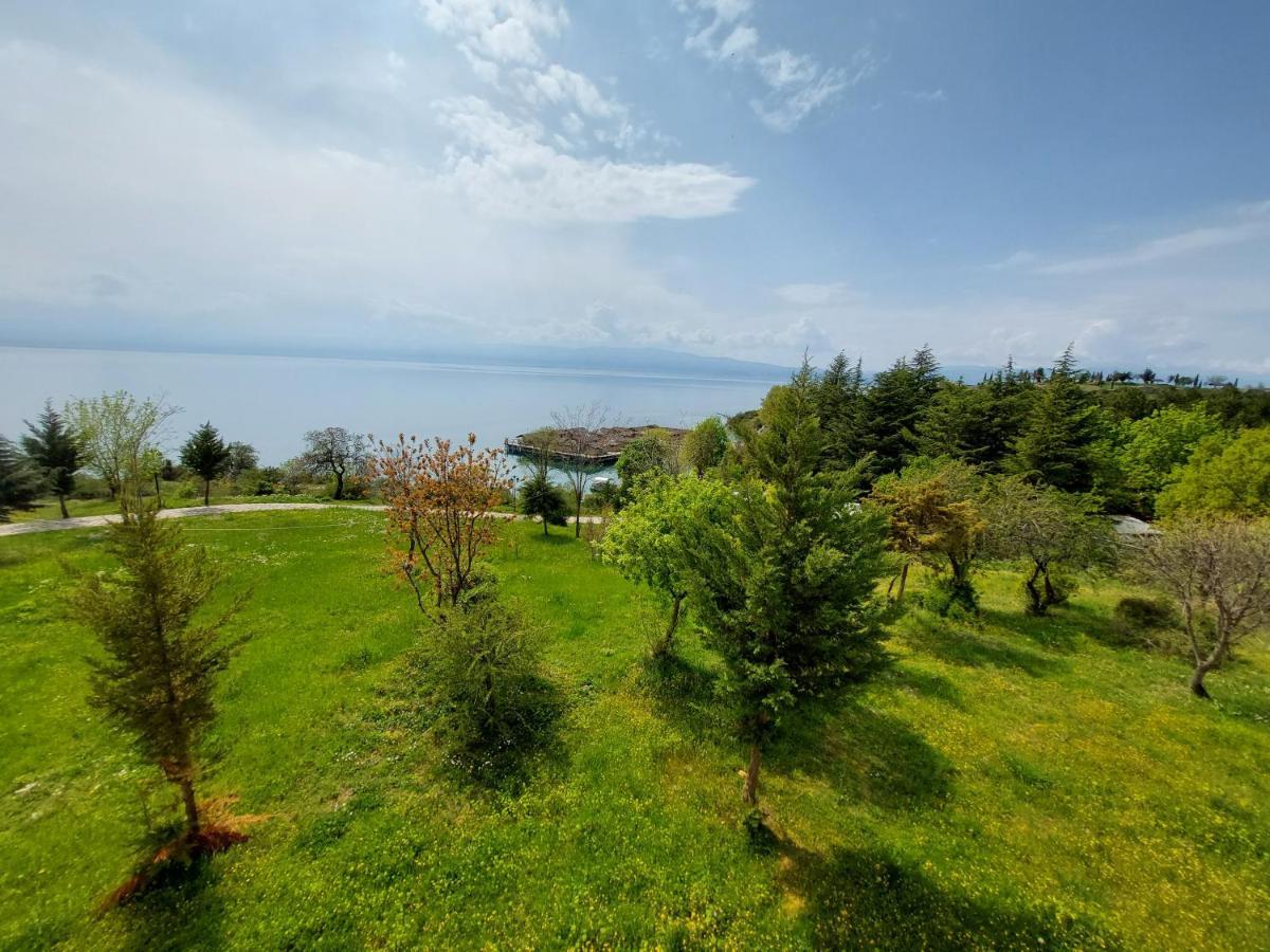 Mateski Guest House Ohrid Exteriör bild