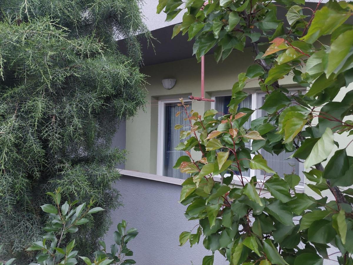 Mateski Guest House Ohrid Exteriör bild