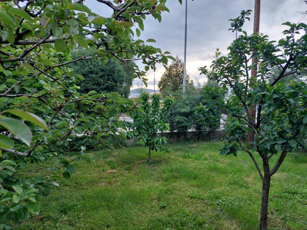 Mateski Guest House Ohrid Exteriör bild